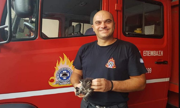 Σέρρες: Βρήκε σπίτι το γατάκι που πνιγόταν σε φρεάτιο και είχε σώσει η Πυροσβεστική
