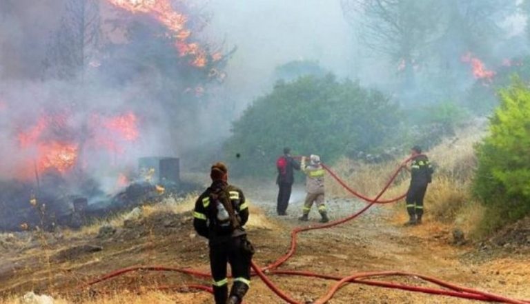 Φλώρινα: Υπό μερικό έλεγχο η φωτιά στις Πρέσπες