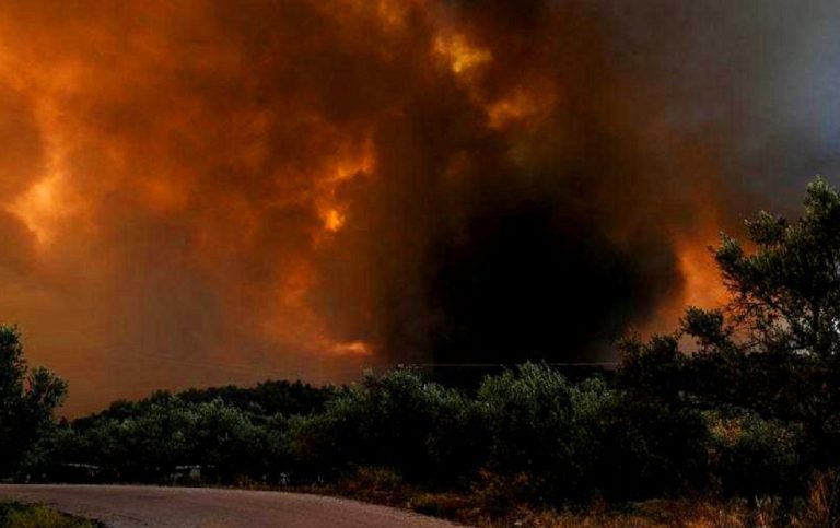 Μακριά νύχτα για τα χωριά της Κύμης – Μαίνεται η φωτιά σε μέτωπο 4 χιλιομέτρων