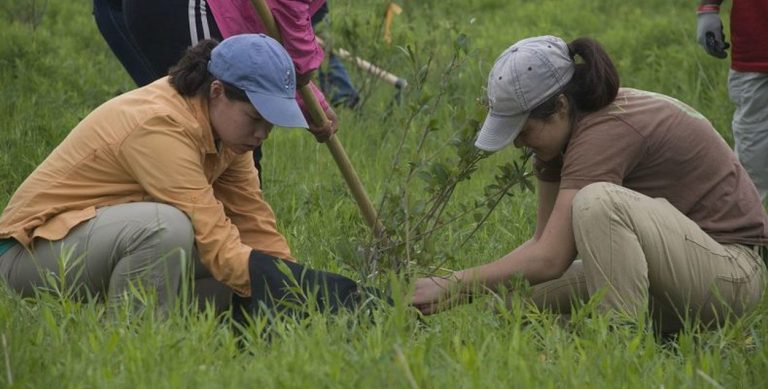 Φιλιππίνες: Αν δεν φυτέψεις 10 δέντρα… δεν παίρνεις απολυτήριο!