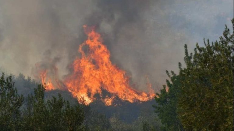 ΓΓΠΠ: Πολύ υψηλός κίνδυνος πυρκαγιάς σε 3 περιφέρειες