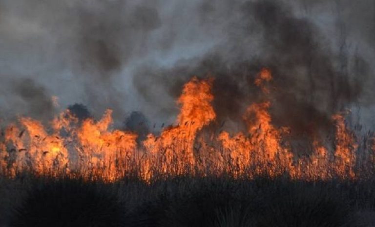 Σέρρες : Φωτιά κοντά σε κατοικημένη περιοχή στο Βαλτερό (video)