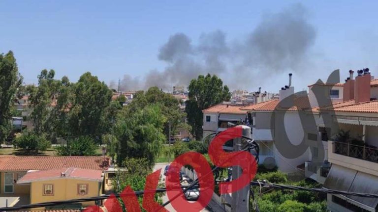 Φωτιά ξέσπασε στην Παλλήνη – Ενισχύονται οι δυνάμεις της Πυροσβεστικής (video)