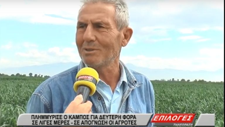 Σέρρες: Πλημμύρισε ο κάμπος για δεύτερη φορά -Σε απόγνωση οι αγρότες(video)