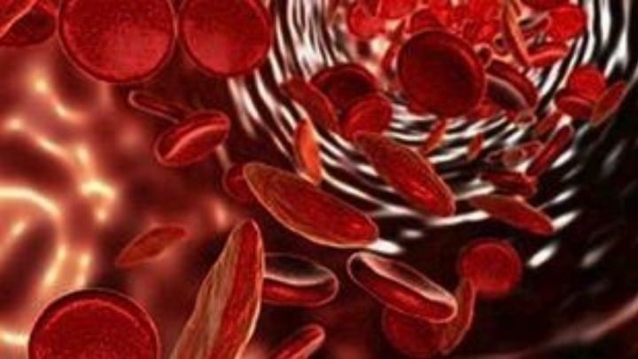 Θεσσαλονίκη: Πώς τα «μαγικά» αιμοποιητικά κύτταρα θεραπεύουν τη λευχαιμία