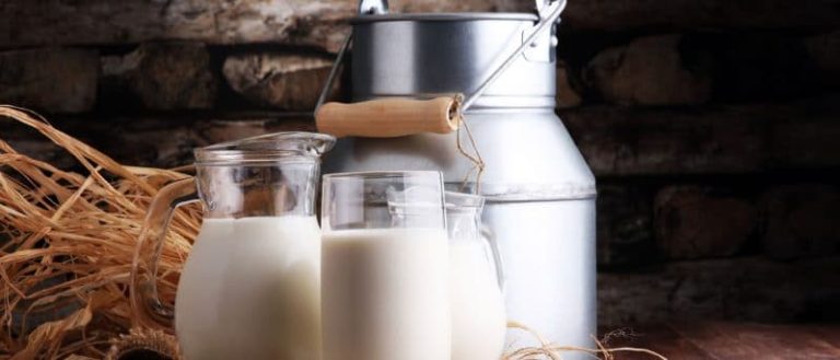 Γάλα: Αγελαδινό ή φυτικά; Όλα όσα πρέπει να γνωρίζετε για έξι τύπους γάλακτος