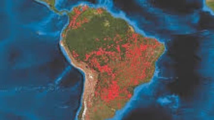 Η αποψίλωση του Αμαζονίου στο υψηλότερο επίπεδό της εδώ και 12 χρόνια