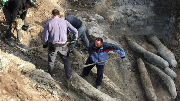 Τι μαρτυρούν οι απολιθωμένοι κορμοί δέντρων που βρέθηκαν στις νέες ανασκαφές στη Λέσβο