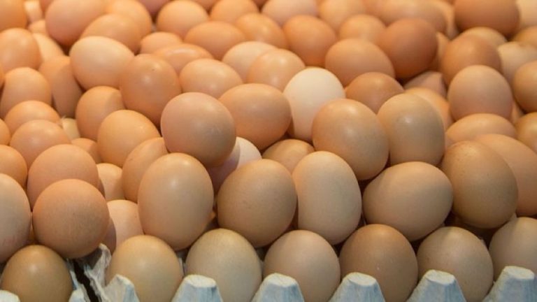 Διεπαγγελματική Οργάνωση Αυγού: Θα εργαστούμε όλοι μαζί για να πάμε τον κλάδο του αυγού στη θέση που αξίζει