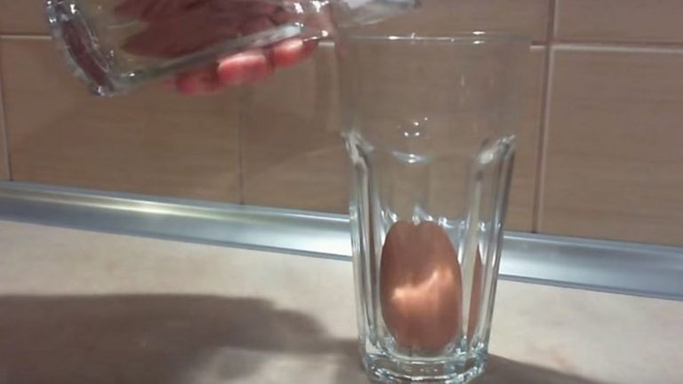 Δείτε τι θα συμβεί αν βάλετε ένα αυγό σε ξίδι – ΒΙΝΤΕΟ