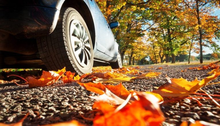 Δείτε γιατί το φθινόπωρο είναι η πιο δύσκολη εποχή για τους οδηγούς – Τι πρέπει να προσέχουν
