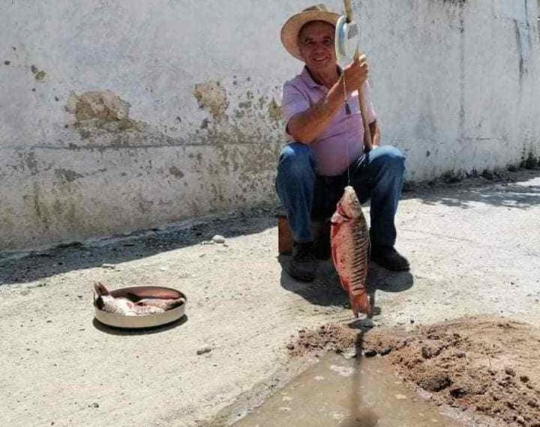 Σέρρες: Στις λακκούβες του Βαμβακοφύτου πιάνουν μεγάλα ψάρια (φωτο)