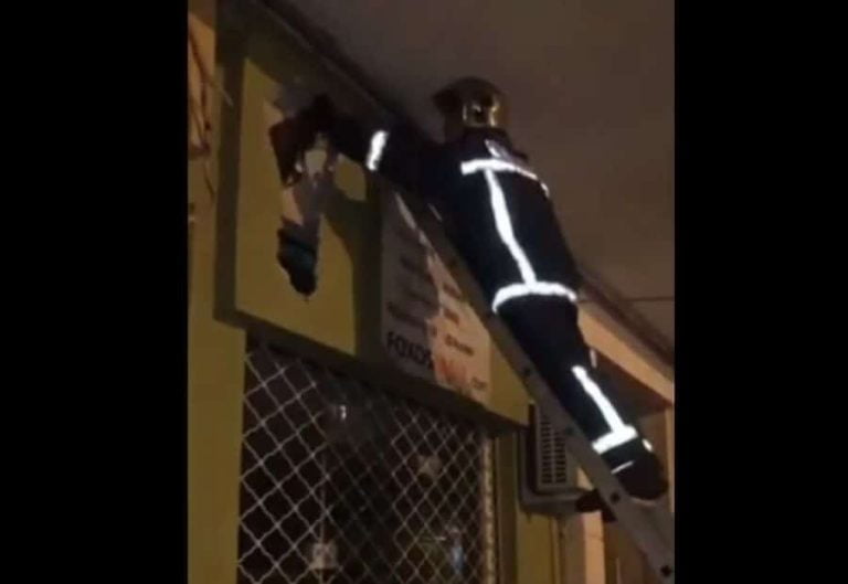 Θεσσαλονίκη: Σοκαριστικό VIDEO απεγκλωβισμού γάτας – Καταστηματάρχης την κόλλησε σε γυψοσανίδα