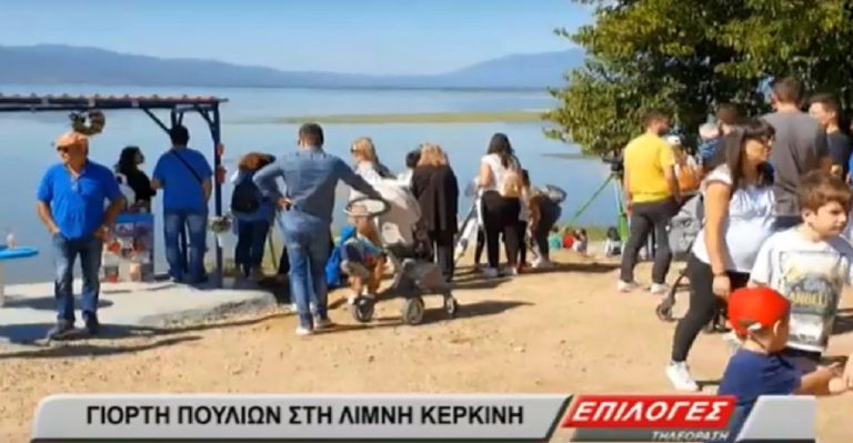 Σέρρες: Η Γιορτή των Πουλιών στο λιμανάκι της λίμνης Κερκίνης(video)