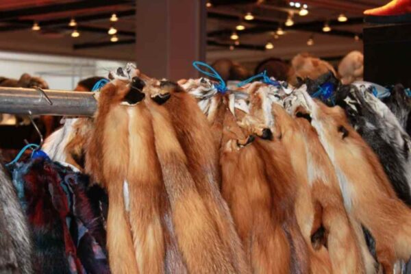 Καστοριά: Ανοίγει σήμερα τις πύλες της η 50η Διεθνής Έκθεση Γούνας