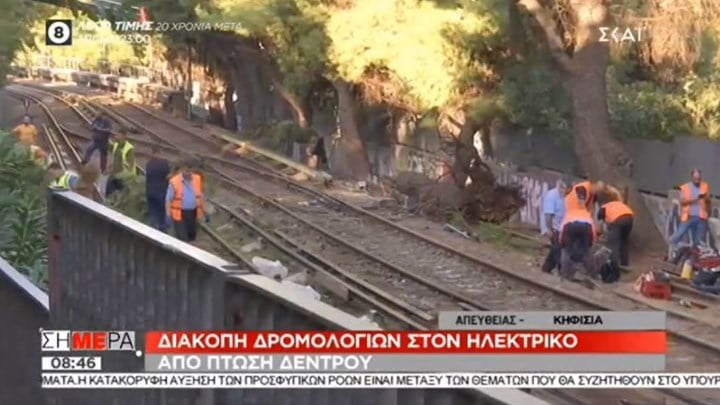 Διακοπή δρομολογίων του τρένου λόγω πτώσης δέντρου – Εργασίες για την αποκατάσταση της γραμμής