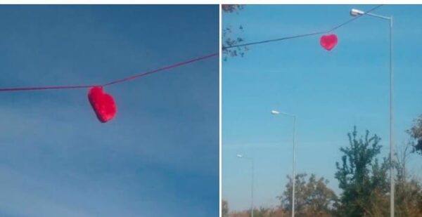 Τα κορυφαία φυτά για μπαλκόνια και βεράντες