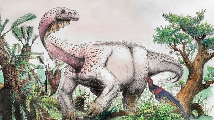 Βρέθηκε ο πρώτος καρκίνος σε δεινόσαυρο