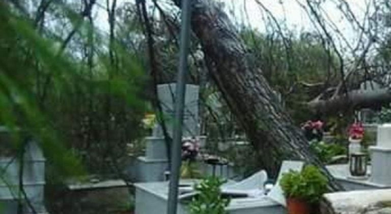 Σέρρες : Καταστράφηκαν τάφοι στα κοιμητήρια του Λευκώνα από δέντρο που έπεσε πάνω τους