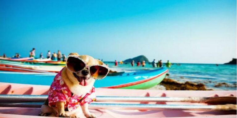 Καλοκαίρι: 6 Tips για Οικονομικές Διακοπές