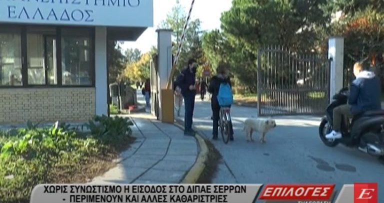 Χωρίς συνωστισμό η είσοδος στο ΔΙΠΑΕ Σερρών- Περιμένουν κι άλλες καθαρίστριες- video