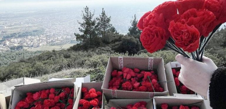 Δράμα: Πέντε χιλιάδες χειροποίητα τριαντάφυλλα από τον Τοίχο της Καλοσύνης