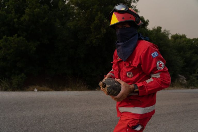 Οι Εθελοντές του Ερυθρού Σταυρού στην πρώτη γραμμή της μάχης με τις φλόγες στα Βίλια