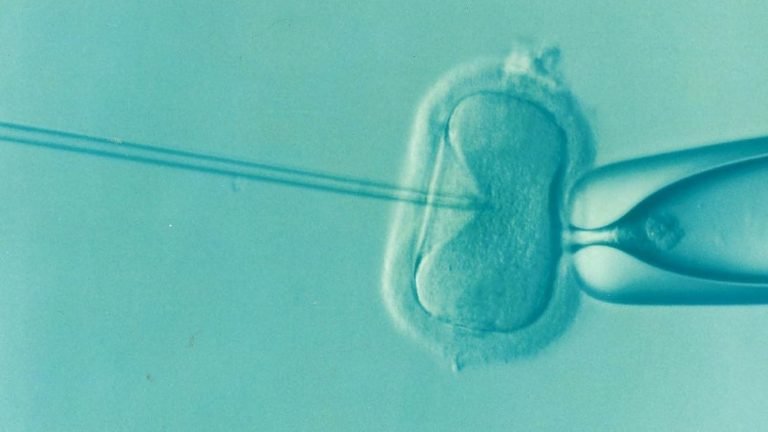 Κορονοϊός: Ευρωπαϊκό «Όχι» στην εξωσωματική γονιμοποίηση – Τι μπορούν να κάνουν τα ζευγάρια