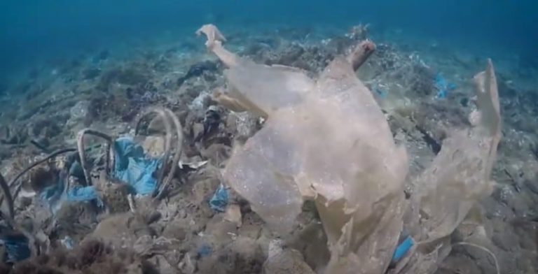 Βίντεο: «Μπορούμε χωρίς πλαστικά μιας χρήσης»