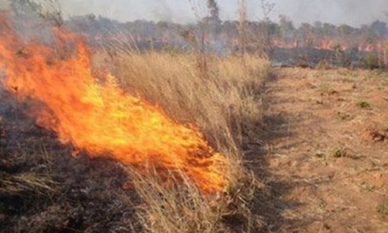 Λάρισα: Έκαψαν χωρίς άδεια καλαμιές στα χωράφια τους, χάνουν τις επιδοτήσεις