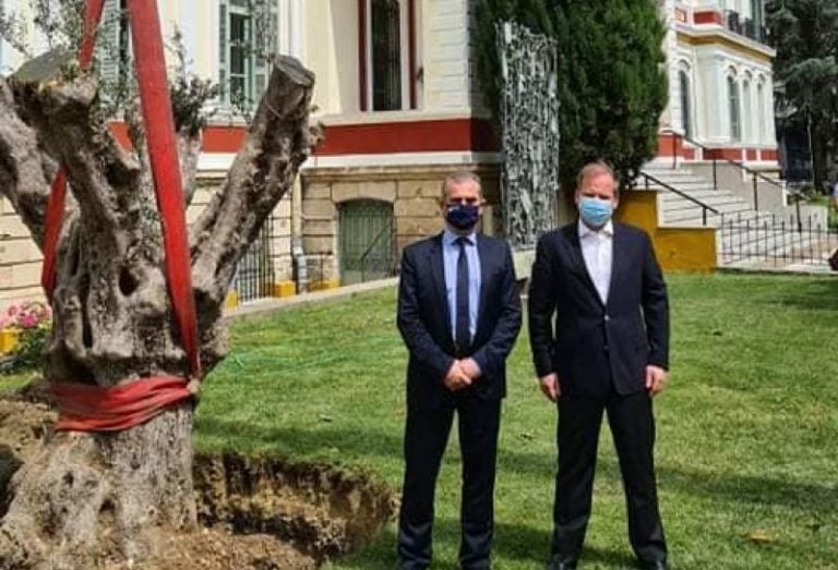 Σέρρες: Μεταφυτεύτηκε υπεραιωνόβια ελιά 600 ετών στο Διοικητήριο Σερρών (video)