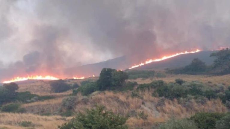 Εύβοια: Φωτιά στην Κάρυστο – Και ελικόπτερο στη μάχη της κατάσβεσης