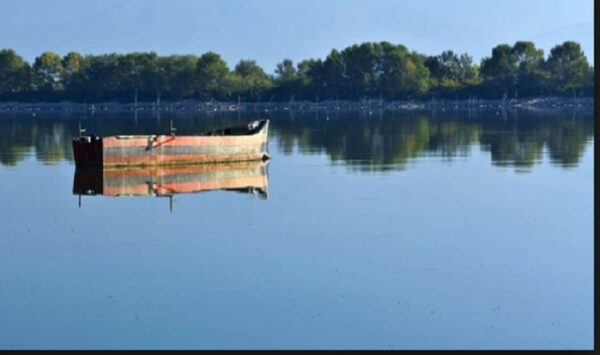 Λίμνη Κερκίνη: Πτήσεις προς την ελευθερία για 15 αποθεραπευμένα πουλιά
