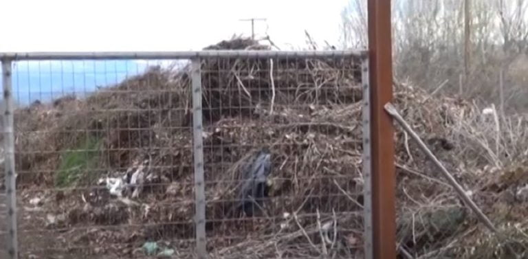 Σέρρες: Κλαδιά και σκουπίδια στον Κρίνο- Τι λέει ο αντιδήμαρχος (video)