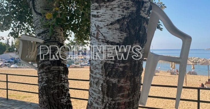 Καβάλα: Λουόμενοι «κλειδώνουν» τις καρέκλες τους στους κορμούς των δέντρων! (φωτο)