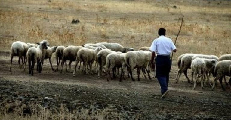 Αραχωβίτης: Προχωράμε άμεσα σε μέτρα στήριξης των κτηνοτρόφων