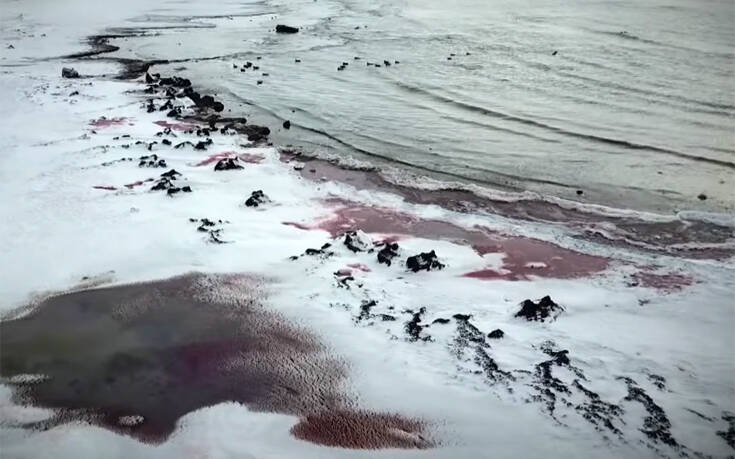 Η θάλασσα έγινε κόκκινη σαν αίμα στο Καζακστάν – Πώς εξηγούν οι επιστήμονες το φαινόμενο (φωτο+video)