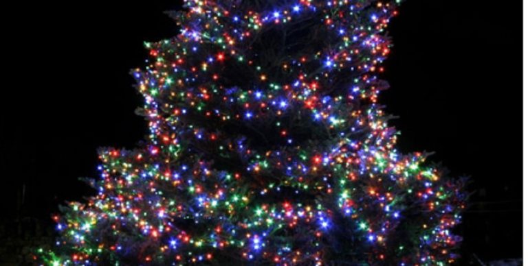 Σέρρες : Έκλεψαν τα χριστουγεννιάτικα φωτάκια από τα δέντρα στην Πλατεία του ΙΚΑ