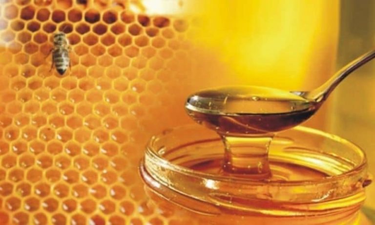 Σέρρες, Γ. Χαρίσης: Πώς ξεχωρίζουμε το καλό μέλι- Εξαιρετικά ανθόμελα και πευκόμελα στον νομό (video)