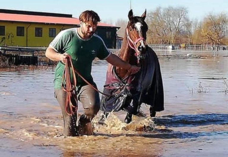 Ο πρώην βουλευτής Σερρών που “βούτηξε” στο νερό και τη λάσπη για να σώσει τα άλογα στο ΚΕΘΙΣ!