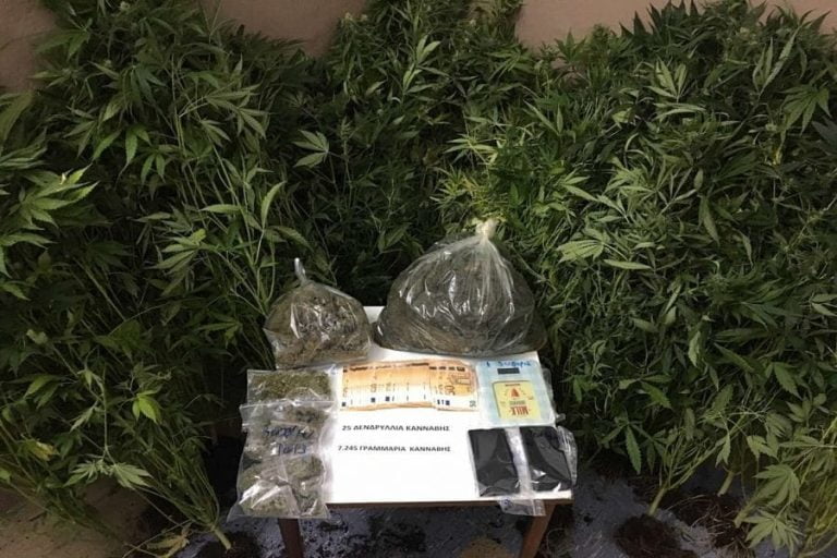 Δύο συλλήψεις στη Ρόδο για ναρκωτικά, κατασχέθηκαν 7 κιλά χασίς και 35 δενδρύλλια