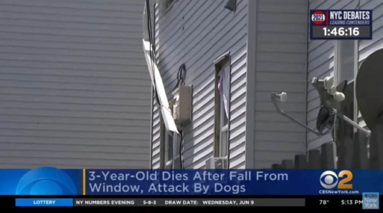 Φρικτός θάνατος για 3χρονο: Έπεσε από παράθυρο και τον κατασπάραξαν σκυλιά (video)