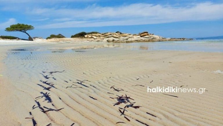 Χαλκιδική: “Εξαφανίστηκε” η… θάλασσα σε πανέμορφη παραλία (ΦΩΤΟ)