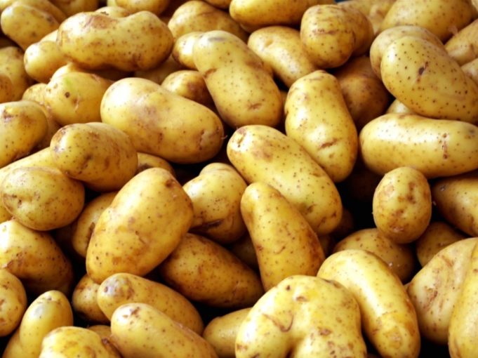 Αγρότισσα δώρισε 15.000 κιλά πατάτες στο Δήμο Καστοριάς