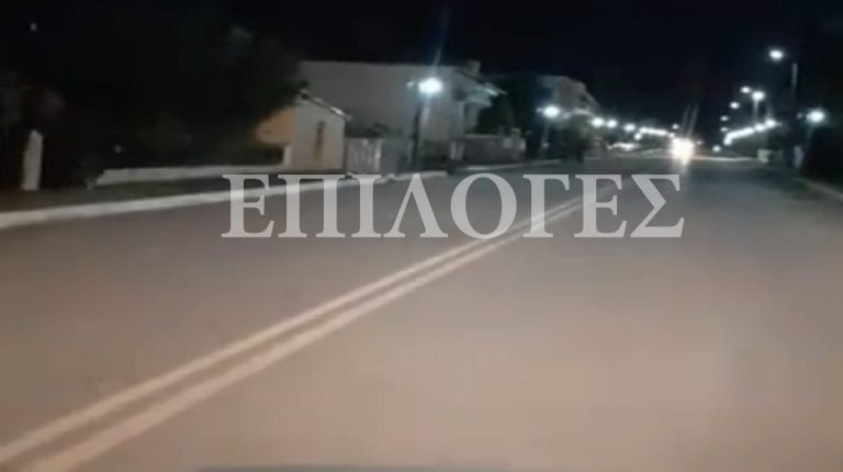 Σέρρες: Εντοπίστηκαν και άλλοι μετανάστες να κρύβονται στην Αλιστράτη(video)
