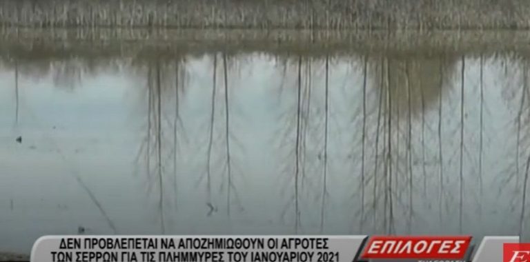 Σέρρες: “Δεν προβλέπεται να αποζημιωθούν οι αγρότες των Σερρών για τις πλημμύρες του Ιανουαρίου”- video