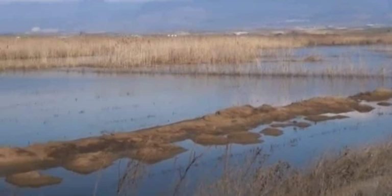 Σέρρες: Αγανάκτηση των αγροτών στον Πεθελινό- Ακόμη πλημμυρισμένα τα χωράφια τους (video)