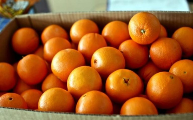 Διανομή πορτοκαλιών από τον Σύλλογο Τριτέκνων Σερρών