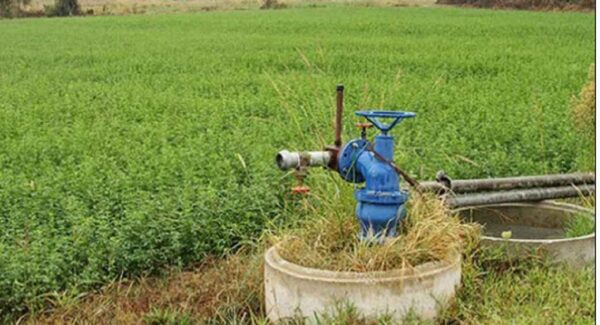 8 λάθη στο πότισμα που μπορεί να καταστρέψουν τα φυτά σας την άνοιξη