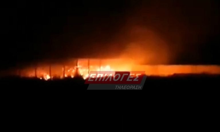 ΕΚΤΑΚΤΟ: Καίγεται κτηνοτροφική μονάδα στην Ηράκλεια Σερρών-Οι πρώτες εικόνες(video)